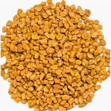 حلبه بلدي عريضه