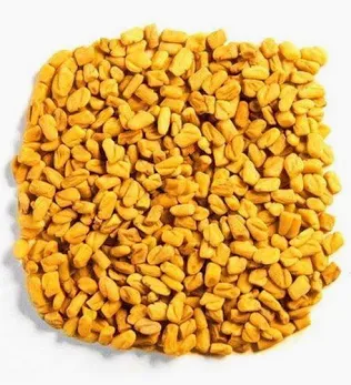 حلبه حصى بلدي
