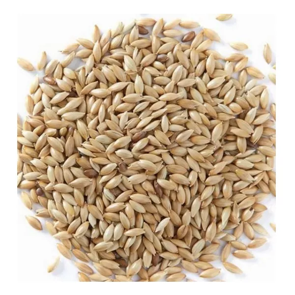 فلارس