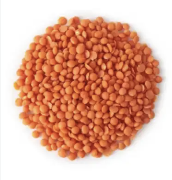 عدس اصفر